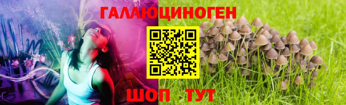 Галлюциногенные грибы ЛСД  Вход с VPN  Воронеж 